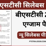 Rajasthan BSTC Syllabus 2026