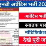 PNB Apprentice Recruitment 2026